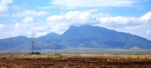 Hidalgo County hills